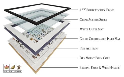Earth Sky + Water - Fishes of the New England Coast - Double-matted Posters with Black Frame - color: Black Frame