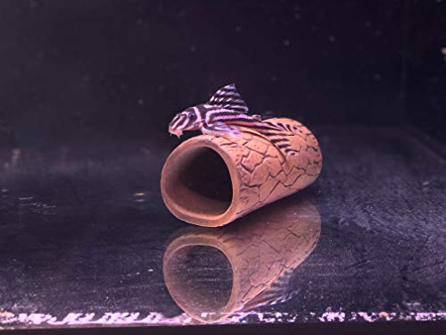 Plecoceramics Pleco Cave Breeding Ceramic Decorations Fish Tank Aquarium Medium Size (1 pcs)