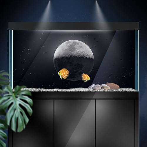 Aquarium Background Stickers - Moon, Space, Gray, Shadow Self-Adhesive Fish Tank Reptile Terrarium Decor Poster (90 x 60 cm / (35.4 x 23.6 inches)) - size: 90 x 60 cm / (35.4 x 23.6 inches)