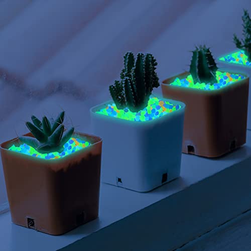 850pc Glow Pebbles Glowing Rocks for Aquarium Luminous Glow Stones Glowing Stones for Driveway Garden Pebbles Rocks(Color) - size: 850, style: Color