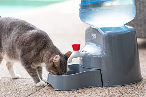 Pure Aqua Pet Water Dispenser (Fits 5 Gallon Bottles) Smart, Upright Design | NOT Automatic | Supports Small, Medium, Large Cats and Dogs | Heavy-Duty, BPA-Free Plastic