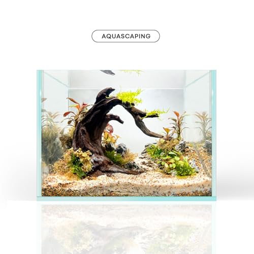FZONE Driftwood for Aquarium Resin Model pH Neutral Aquarium Rocks for Aquascaping,Hardscape - size: 01Driftwood: 5.12" × 3.54" × 5.91"