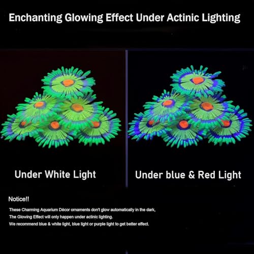 ZtohPyo Glowing Effect Fish Tank Aquarium Decorations, Artificial Silicone Plants Ornaments for Fish Tank Landscape Decor Glow in The Dark Soft Anemone for Small Fish Bowl Decor - color: Green