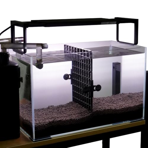 LINLAN 10 Pieces Aquarium Divider Suction Cup Clips, Glass Fixing Clips, Plastic Mesh Board Isolation Holders for Fish Tank (Black) - color: Black