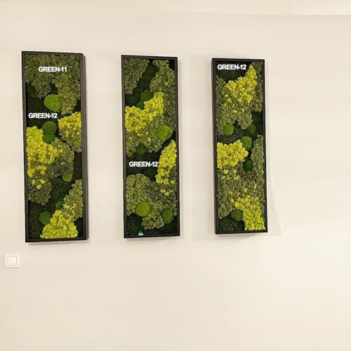 Preserved Reindeer Moss Natural Green DIY Kit Gardenning Art Wall Decor Florist Decor Easter Table Decor Wedding - color: Green-11, size: 0.85 lb