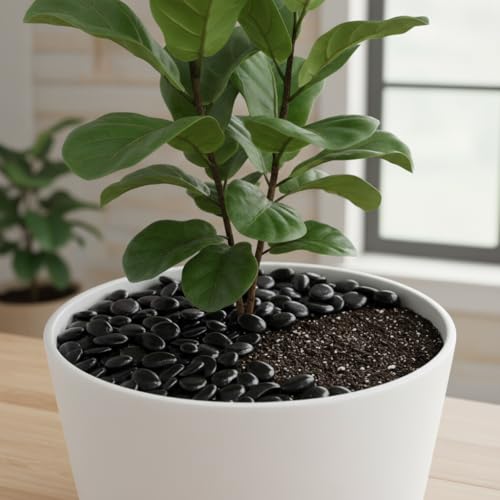 Onlyfire 18 lb Black Polished Pebbles, 3/8" Natural Decorative River Rocks for Plants, Vases, Aquarium, Succulents and Outdoor Garden Landscaping - color: Black, size: 18 Pounds
