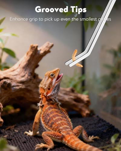 Pawfly 2 Pack Long Tweezers, 11" Reptile Feeding Tweezers, Straight & Curved Reptile Feeding Tongs, Stainless Steel Reptile Tongs, Safe Feeder Tool for Lizard, Bearded Dragon, Gecko & Snake