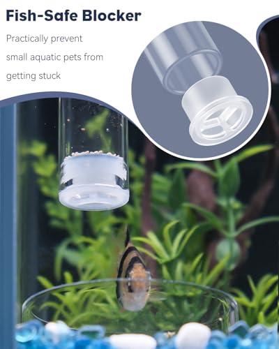 Pawfly 8 Inch Aquarium Shrimp Feeder Set, Clear Glass Tube with 2 Dishes & Suction Cups, Feeding Supplies for Fish Tanks