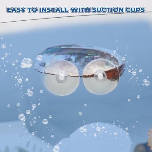 4-Pack Natural Shell Betta Fish Hammocks with Suction Cups – Betta Tank Accessories, Resting Ledges & Aquarium Shell Décor for Small Fish