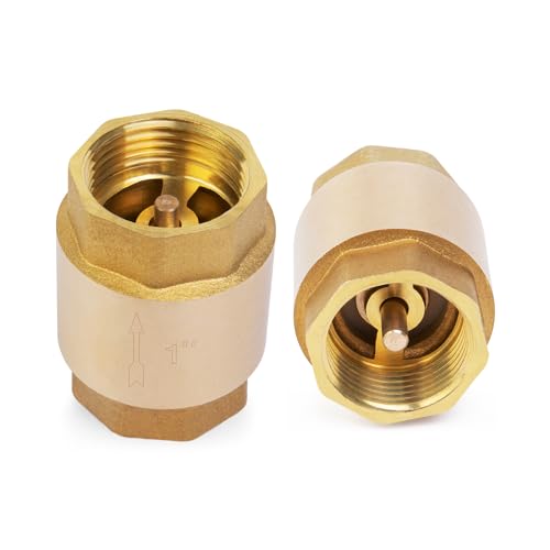 ChillWaves Brass In-Line Spring Check Valve DN25 1" Female Thread, One-Way Non-return Vertical Check Valve for Backflow Prevention(2-PACK) - size: 1" Female x 1" Female(DN25), style: PACK OF 2