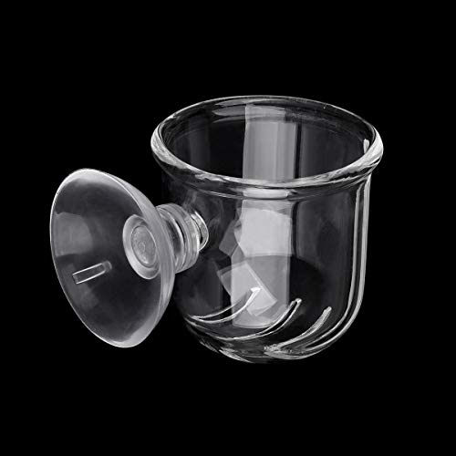 WEAVERBIRD Aquarium Glass Cone Feeder Red Worm Fish Tank Plant Shrimp Feeder Fish Feeding Cup