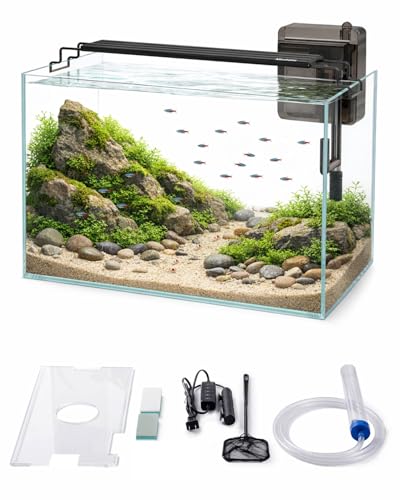 Glass Fish Tank Kit, 10 Gallon Betta Fish Tank Aquarium Starter Kit with Filter, Lights, Lid, for Betta, Goldfish, Small Fish or shrimg，Clear - color: Transparent, size: 10 Gallon