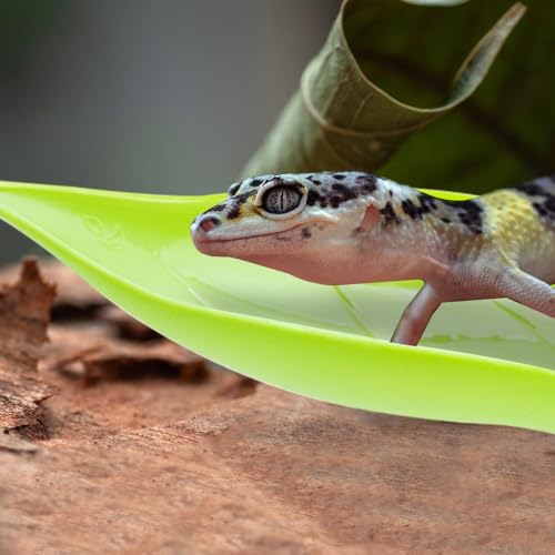 MiOYOOW 3PCS Betta Leaf Hammocks, Suction Cups Leaf Decorations for Terrarium, Reptile, Small Fish Sleeping Resting Hiding Playing Breeding