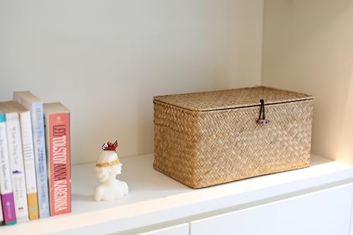 DOKOT Rectangular Handwoven Seagrass Storage Basket with Lid for Shelves and Home Organizer Bin, (M (12"x7"x6"H), Natural) - size: M (12"x7"x6"H)