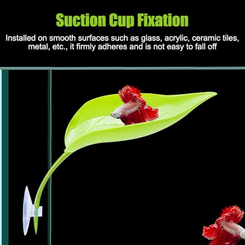 MiOYOOW 3PCS Betta Leaf Hammocks, Suction Cups Leaf Decorations for Terrarium, Reptile, Small Fish Sleeping Resting Hiding Playing Breeding