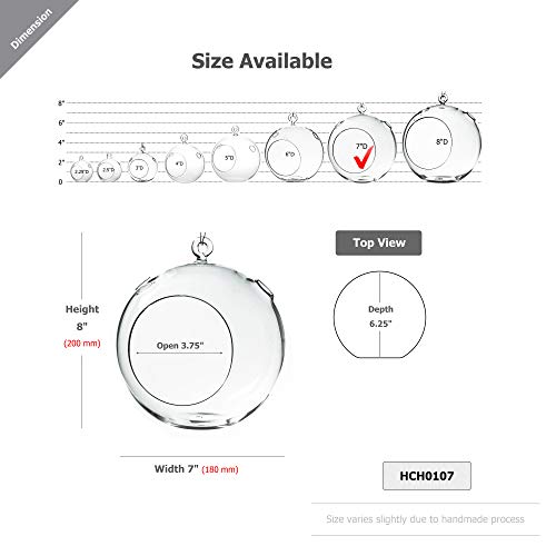 WGV Hanging Terrarium Globe, Width 7", Height 8", DIY Air Succulent Planter, Clear Glass Vase Orb with Flat Bottom, Candle Holder Outdoor Garden Decor, 6 Pieces - size: 7" Flat Bottom