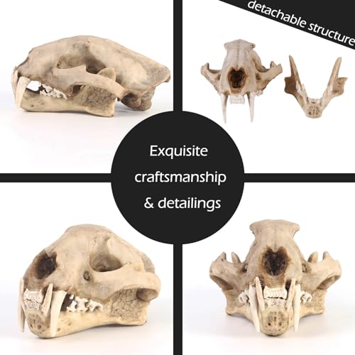 Aquarium Décor Cave Decorations Fish Hideout Betta Tarantula Reptile Snake for Terrarium Ornament Dinosaur Animal Skull Large Bones Halloween - color: Leopard