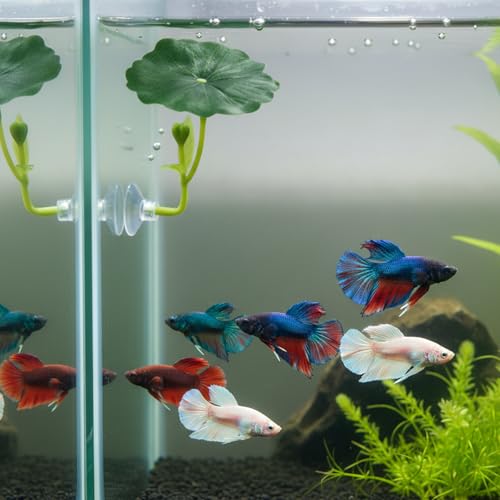 4 Pcs Betta Fish Leaf Hammock Betta Fish Bed Leaf Bettas Suction Cup Tank Decor Green Hammock for Fishes Spawning Grounds Practical Resting Spot Leaves Pad Simulates Natural Habitat Resting Bed