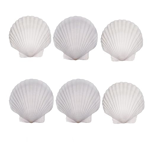 6PCS Natural Seashells 4.5"-5" White DIY Scallop Shells for Home Decor - Sea Shells for Painting, Baking, Beach Party, Fish Tank, Ocean Crafts, Beach Wedding Decor - color: 6pcs