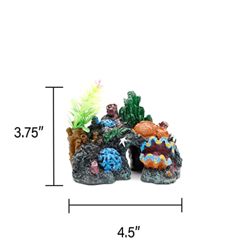 NW Wholesaler 4.5 Inch Clam Cove Fish Tank Landscape Decorations - Hideaway Cave for Betta and Small Fish - style: Clam Cave