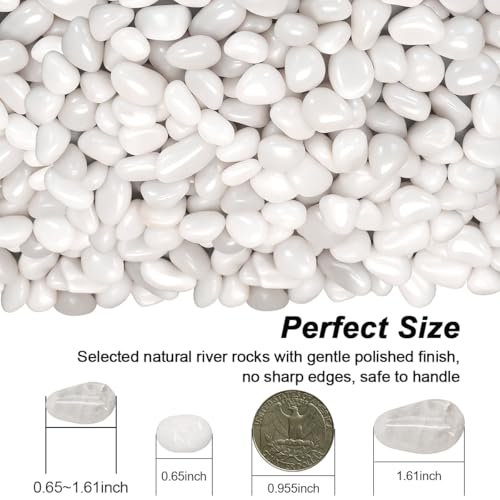Fish Tank Rocks,Landscaping Pebbles,Decorative Ornamental Pebbles Garden,Landscaping Stones Gravel Filler for Home Decoration Flower Bed Fish Tank Plants Vases Succulents (5 Pounds, White) - color: White, size: 5 Pounds