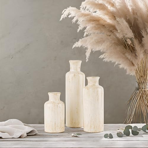 Creative Scents Rustic Luxe Vase Set - Vases for Decor, Perfect for Holding Pampas Grass, Dried/Fresh Flowers, Vases for Your Kitchen, Bedroom, Office, Living Room, Bathroom, or Shelf Decor - color: Rustic Luxe
