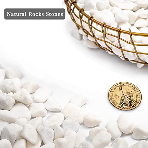 5lbs White Natural River Rocks, Polished Pebbles for Plants Garden, 0.3-0.8 inch Decorative White Stones, Ideal for Fish Tank, Vases, Crafting, Home Decor and Garden Landscaping Rocks,White - size: 5 Pounds, style: Snow White