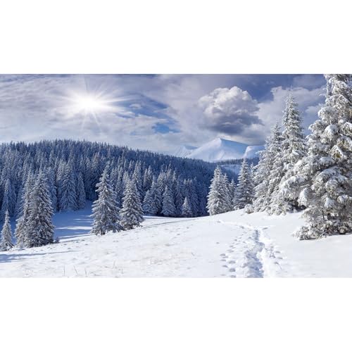 Winter Forest Aquarium Background Frosty Mountain Pine Trees Fish Tank Background Heavy Snow Capped Mountains Terrarium Backgrounds Couldy Winter Sunbeam Landscape Reptile Tank Backgrounds 24x12in - color: Grey_White, size: 24(W)x12(H)inches/ 60(W)*30cm(H