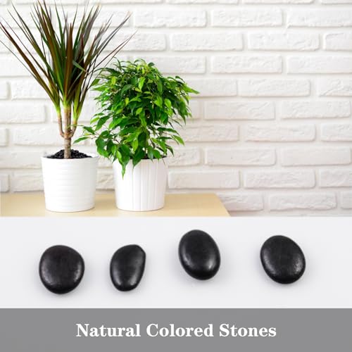 5lb River Rocks Polished Silica Gravel for Plants, Garden Decorative Pebbles Ideal for Fish Tank, Vases, Succulents, Crafting, Home Decor and Garden Landscaping, Polished Black - color: Black, size: 5LB