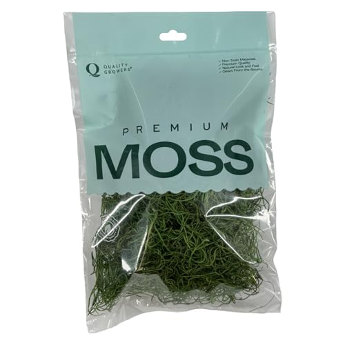 Preserved Spanish Moss - Decorative Dried Moss for Crafts, Home Decor, Art, Design & DIY Projects - for Indoor Use - Green Apple - Small Size - color: Green Apple, size: Small