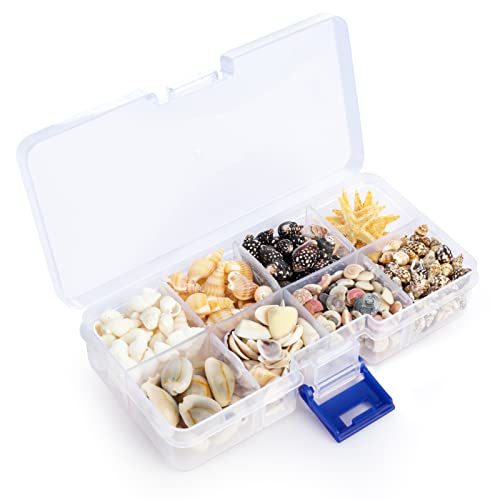 Premium Tiny Seashell Mix, Including Sea Shells, Sea Snails and Starfish total 300+PCS (8 Kinds), Shells for Crafts Decorating Resin and Mosaics Projects DIY Crafts Home Decor Beach Themed Party