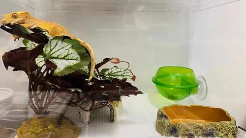 Woyrise Reptile Artificial Plants for Terrarium Decor, Amphibian Habitat Hideout Bearded Dragon Tank Decorations fit Crested Gecko Leopard Lizard Chameleon Ball Python Snake Frog - Saxifrage