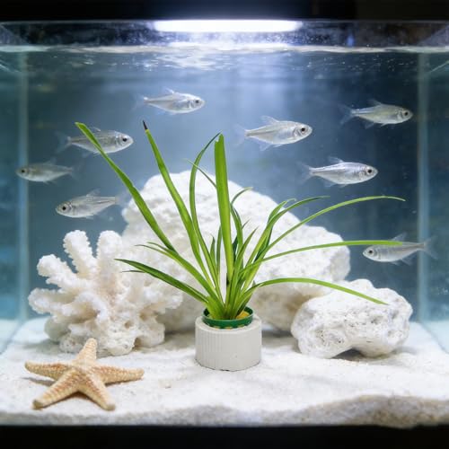 12 Set New Upgrade Aquarium Plant Weights, Anti-Floating Ceramic Water Grass Planting 3-Piece Set, Aquarium Landscape Decor for Fish Tank/Aquarium Accessories