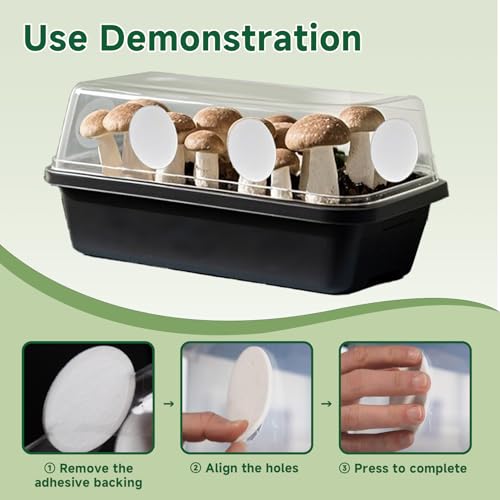 24-Pcs 3" Monotub Adhesive Filter Disks - 2mm Thick Monotub Filter Discs for Mushroom Growing Supplies - Replacement Filter Pads for Monotub Filters and Fruiting Chambers - color: 2mm