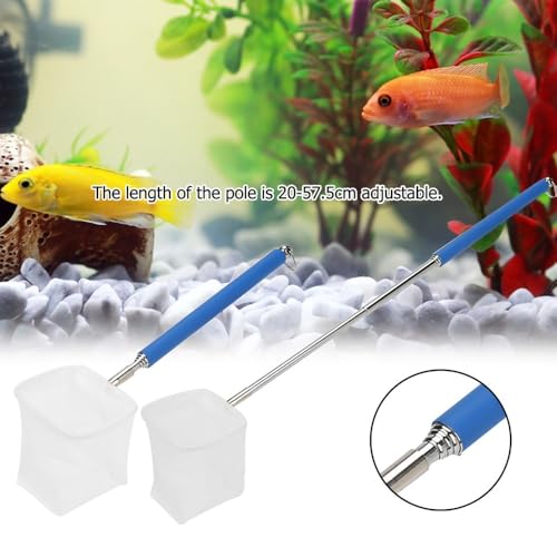 20-57.5cm Stainless Steel Adjustable Aquarium Fish Shrimp Net with Wall Hook Expandable Fishing Net for Tank Cleaning and Hexapod Catching - style: Blue Square Net
