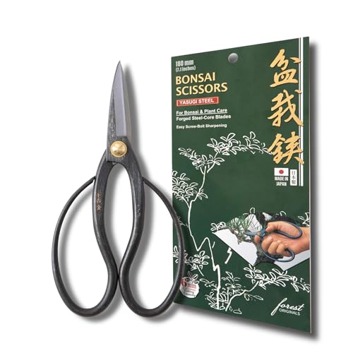 SenkichiKin Bonsai Scissors 7in (180mm) – Made in Japan Pruning Shears, Sharp Carbon Steel for Precision Trimming, Lightweight Tool for Bonsai, Flowers & Indoor Plants, forest Originals