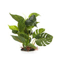 CNZ Aquarium Fish Tank 10" Green Lifelike Underwater Plastic Plant Aquatic Water Grass Decor