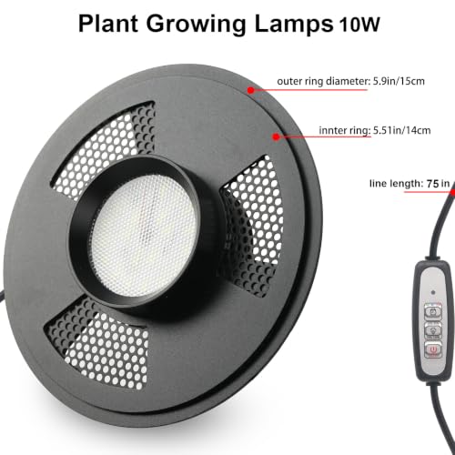 Desktop Glass Plant Terrarium with Grow Light(L7.8 W7.8 H14), for Succulent, Moss, Miniature Gardening Landscape, Betta Fish Tank, Indoor Plant Growth, Office Home Decoration (TimeControlled)