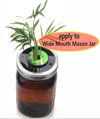 Kratky Lid Wide Mouth Hydroponic Lid Kratky Mason Jar Lid Urban Aquaculture Kratky Lid Insert with Urban Aquaculture Pods Includes 6 Kit (Black Version) (Black 24)