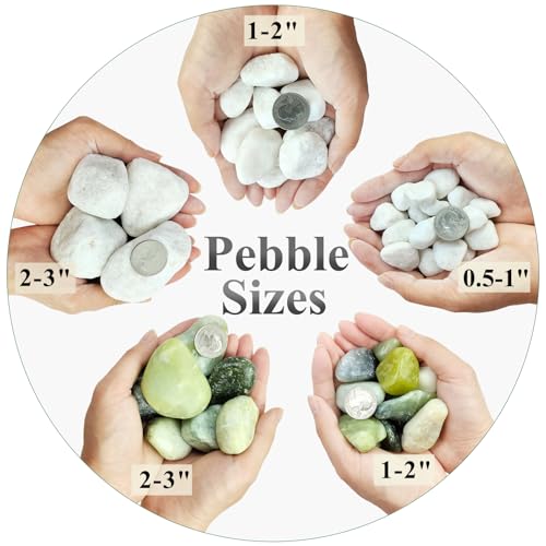 FANTIAN 5 lbs White River Rocks for Plants, 1-2 Inch Pebbles for Indoor Plants, Decorative Gravel Stones for Succulent, Cactus, Landscaping, Vases, Aquariums, Crafting and Garden - color: White, size: 5 lbs, 1-2 Inch
