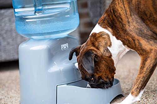 Pure Aqua Pet Water Dispenser (Fits 5 Gallon Bottles) Smart, Upright Design | NOT Automatic | Supports Small, Medium, Large Cats and Dogs | Heavy-Duty, BPA-Free Plastic