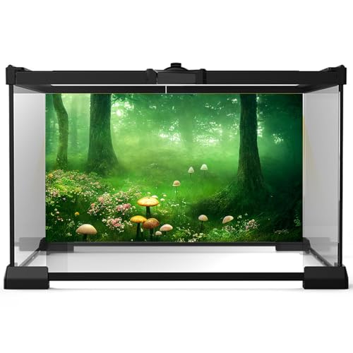 3 Pack Forest Reptile Habitat Background Tropical Rainforest Aquarium Background Foggy Forest Sun Rays Mushrooms Terrarium Background Rock Mountain Clear Blue Sky Fish Tank Background 36x18in - size: 36(W)x18(H)inches/ 90(W)*45cm(H)