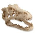 Saim Dinosaur Skull Model Resin Aquarium Decorative Reptile Decor Home Office Display