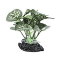 Aquarium Plastic Plants, Silk Aquarium Plants, Silk Plants for Betta Fish Tank, Plastic Plant Decoration for Aquarium, Green, Round Leaves, 3.94" Tall
