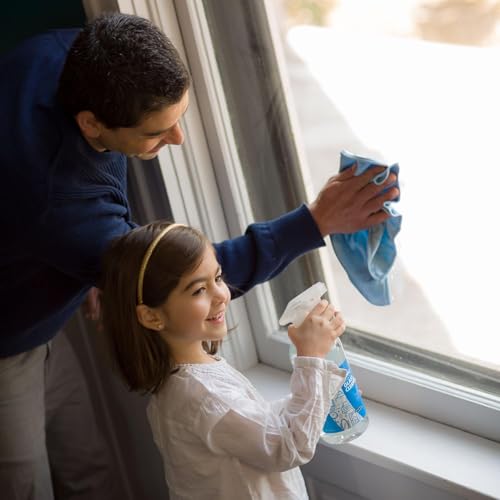 Better Life Glass Cleaner, Streak-free Window Cleaner, Surface Cleaning Spray, Mirror, Screen and Shower Door Cleaner, Removes Fingerprints, Dust, Dirt, Unscented, 32 Oz, Pack of 2 - size: 32 Fl Oz (Pack of 2)