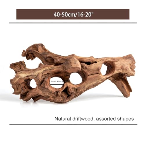 emours Porous Natural Driftwood for Aquarium, Aquascaping Driftwood with Holes, Hand-Selected Tunnels & Hideouts, Aquascaping Hardscape, Terrarium Reptile Décor, No Paint or Resin (16-20" (40-50 cm)) - size: 16-20" (40-50 cm)