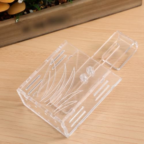 POPETPOP Hanging Aquarium Planter - Transparent Acrylic Fish Tank Plant Holder Cups for Decoration