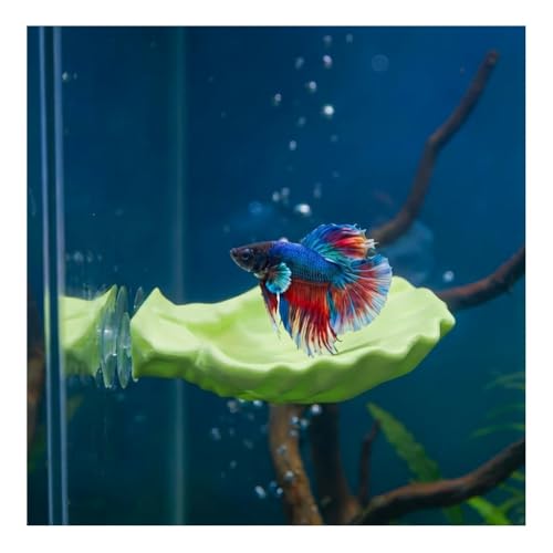 Betta Fish Hammock, Shell Pad with Strong Suction Cup Natural Resting Bed for Bettas Soft Fin-Safe Silicone Betta Fish Tank Decor and Accessories (Green) - color: Green Small