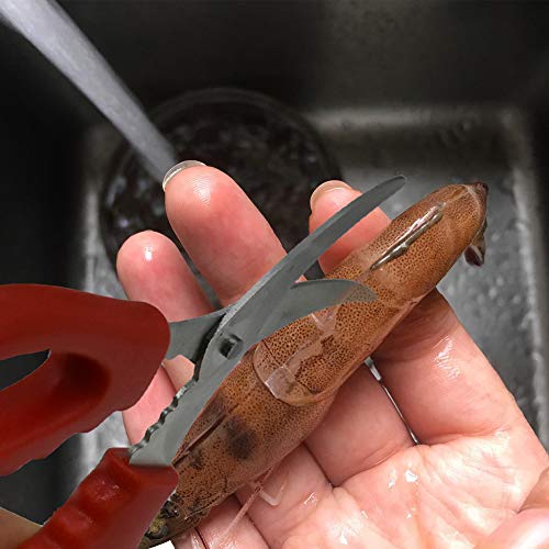 2 Pack Seafood Scissors,Seafood Fish Crab Shrimp Lobster Scissors Stainless Steel Shears for Kitchen Tools