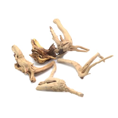 5Pcs Natural Cuckoo Wood for Aquarium, Aquarium Decor Wood Freshwater Fish Tank Reptile Driftwood Branch Length 3.93" to 5.9" - color: Natural Cuckoo Wood